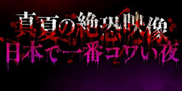 真夏の絶恐映像 日本で一番コワい夜　無料動画